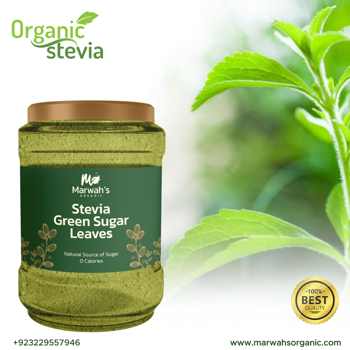 Stevia Powder Organic